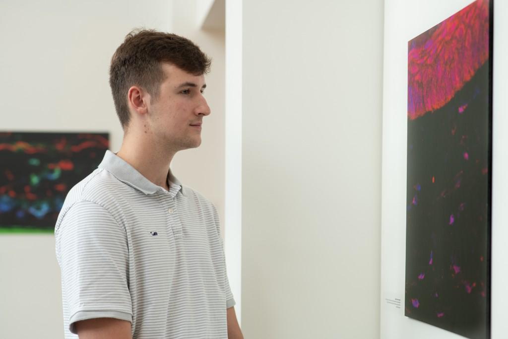英国东北大学的学生道森·德科特在比德福德校园美术馆里看一幅画